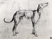 Albrecht Durer A Grayhound oil painting on canvas